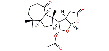 10-Oxonordendrillolide A